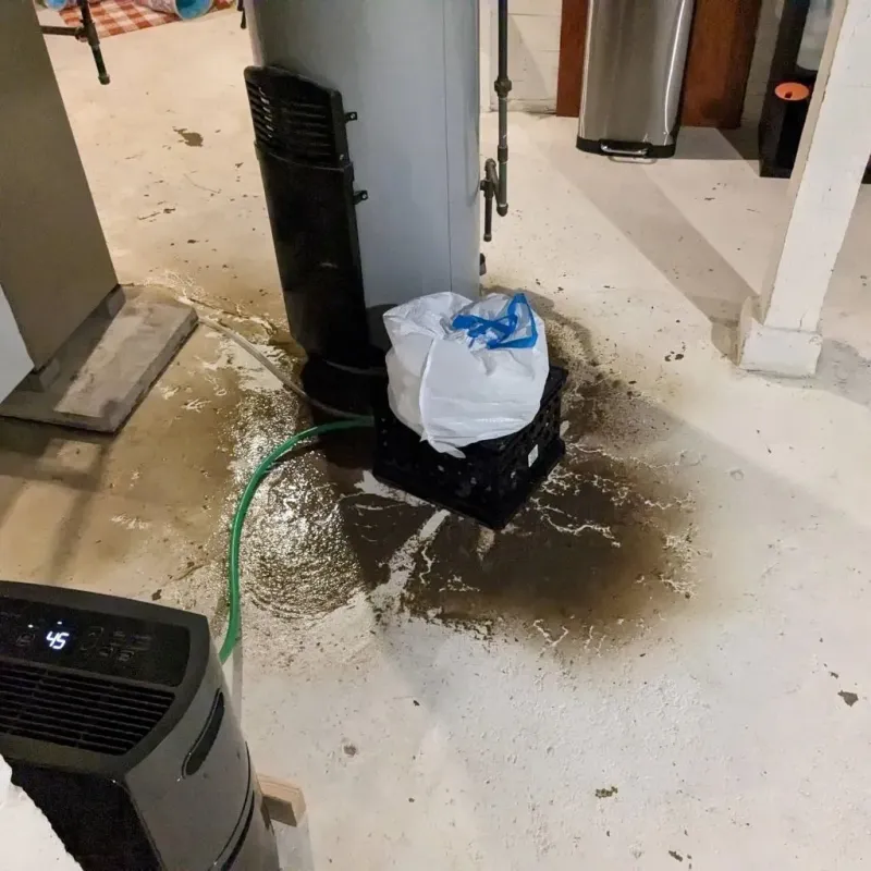 Sewage Backup Cleanup Service in Hartville, OH